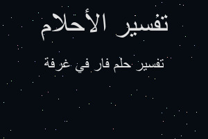 تفسير فار في غرفة في المنام تفسير فار في غرفة في المنام