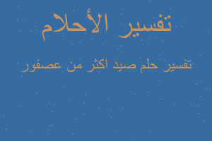 تفسير صيد اكثر من عصفور في المنام