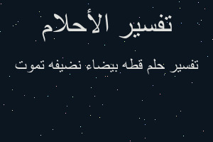 تفسير قطه بيضاء نضيفه تموت في المنام