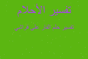 تفسير الفار على فراشي في المنام