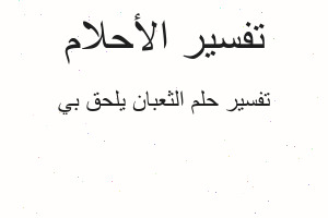 تفسير الثعبان يلحق بي في المنام