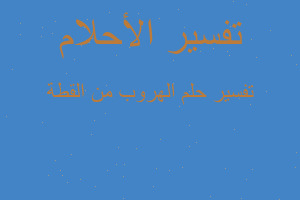 تفسير الهروب من القطة في المنام