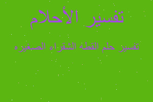 تفسير القطه الشقراء الصغيره في المنام تفسير القطه الشقراء الصغيره في المنام