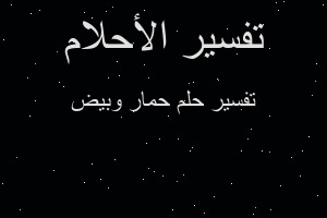 تفسير حمار وبيض في المنام