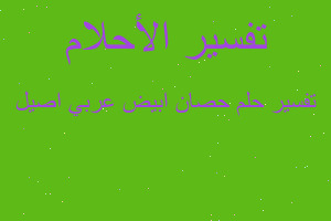 تفسير حصان ابيض عربي اصيل في المنام تفسير حصان ابيض عربي اصيل في المنام