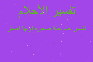 تفسير بطة صغيرة لونها اصفر في المنام تفسير بطة صغيرة لونها اصفر في المنام