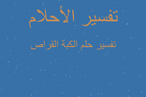 تفسير الكبة القراص في المنام تفسير الكبة القراص في المنام