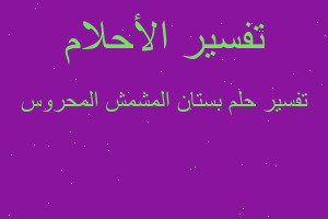 تفسير بستان المشمش المحروس في المنام