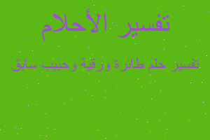 تفسير طائرة ورقية وحبيب سابق في المنام تفسير طائرة ورقية وحبيب سابق في المنام