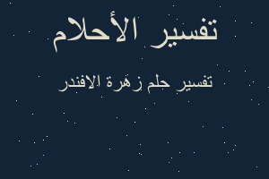 تفسير زهرة الافندر في المنام