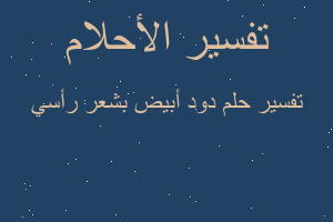 تفسير دود أبيض بشعر رأسي في المنام تفسير دود أبيض بشعر رأسي في المنام