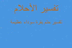 تفسير بقرة سوداء عظيمة في المنام