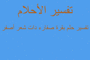 تفسير بقرة صفارء دات شعر أصفر في المنام