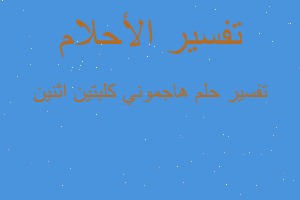 تفسير هاجموني كلبتين اثنين في المنام تفسير هاجموني كلبتين اثنين في المنام