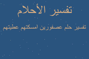 تفسير عصفورين امسكتهم عطيتهم في المنام