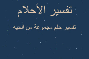 تفسير مجموعة من الحيه في المنام