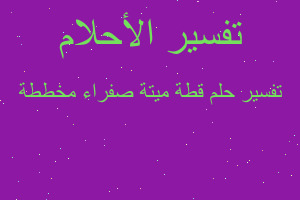 تفسير قطة ميتة صفراء مخططة في المنام تفسير قطة ميتة صفراء مخططة في المنام