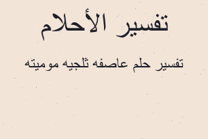 تفسير عاصفه ثلجيه موميته في المنام تفسير عاصفه ثلجيه موميته في المنام