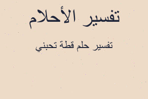 تفسير قطة تحبني في المنام