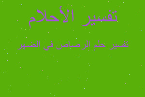 تفسير الرصاص في الضهر في المنام تفسير الرصاص في الضهر في المنام