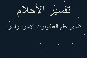 تفسير العنكوبوت الاسود والدود في المنام