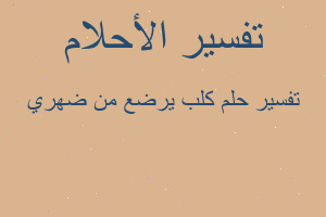 تفسير كلب يرضع من ضهري في المنام