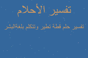 تفسير قطة تطير وتتكلم بلغةالبشر في المنام