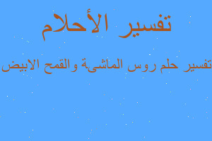 تفسير روس الماشىة والقمح الابيض في المنام