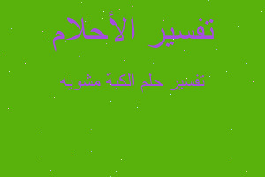 تفسير الكبة مشويه في المنام تفسير الكبة مشويه في المنام