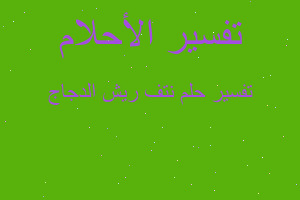 تفسير نتف ريش الدجاج في المنام تفسير نتف ريش الدجاج في المنام