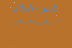 تفسير روية الطير الكبير في المنام