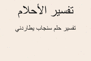 تفسير سنجاب يطاردني في المنام تفسير سنجاب يطاردني في المنام