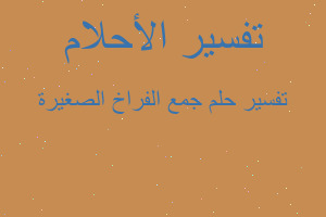 تفسير جمع الفراخ الصغيرة في المنام