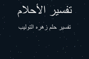 تفسير زهره التوليب في المنام تفسير زهره التوليب في المنام