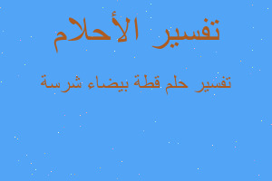 تفسير قطة بيضاء شرسة في المنام