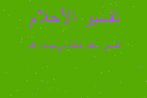 تفسير قطة بیضاء تلد في المنام تفسير قطة بیضاء تلد في المنام