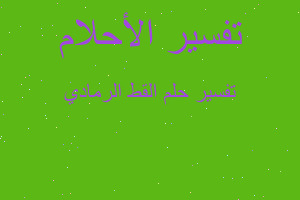 تفسير القط الرمادي في المنام تفسير القط الرمادي في المنام