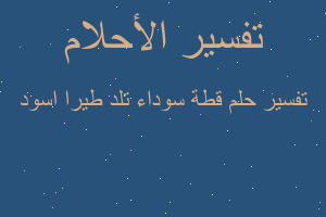 تفسير قطة سوداء تلد طيرا اسود في المنام