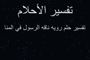 تفسير رويه ناقه الرسول في المنا في المنام