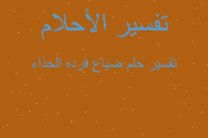 تفسير ضياع فرده الحذاء في المنام