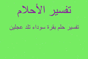 تفسير بقرة سوداء تلد عجلين في المنام