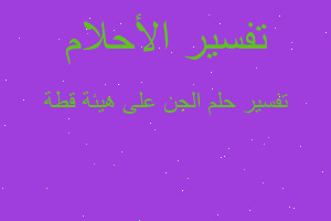 تفسير الجن على هيئة قطة في المنام تفسير الجن على هيئة قطة في المنام