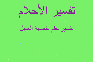 تفسير خصية العجل في المنام