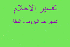 تفسير الهروب م القطة في المنام