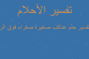 تفسير عناكب صغيرة صفراء فوق الر في المنام