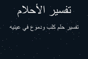 تفسير كلب ودموع في عينيه في المنام