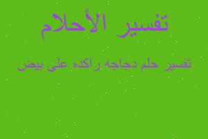 تفسير دجاجه راكده على بيض في المنام