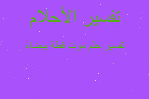 تفسير موت قطة بيضاء في المنام