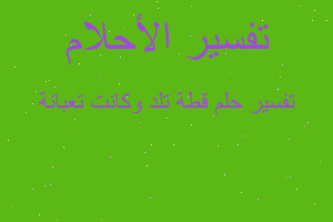 تفسير قطة تلد وكانت تعبانة في المنام