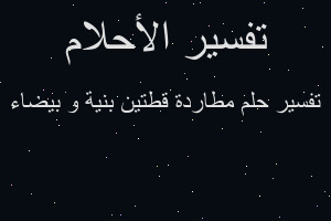 تفسير مطاردة قطتين بنية و بيضاء في المنام